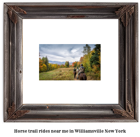 horse trail rides near me in Williamsville, New York